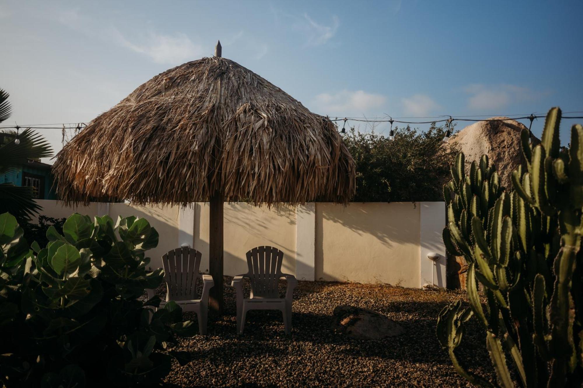 Pura Vida Aruba Appartement Palma Noord Ngoại thất bức ảnh