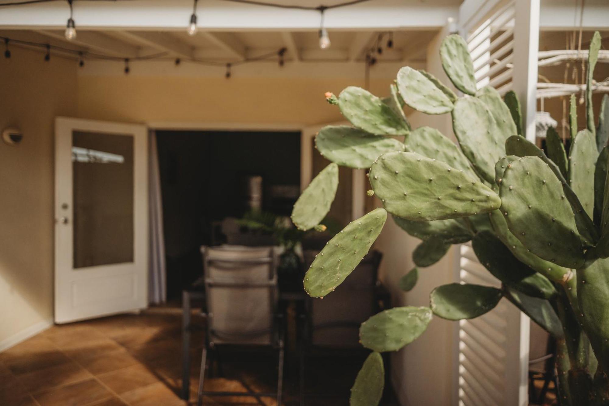 Pura Vida Aruba Appartement Palma Noord Ngoại thất bức ảnh