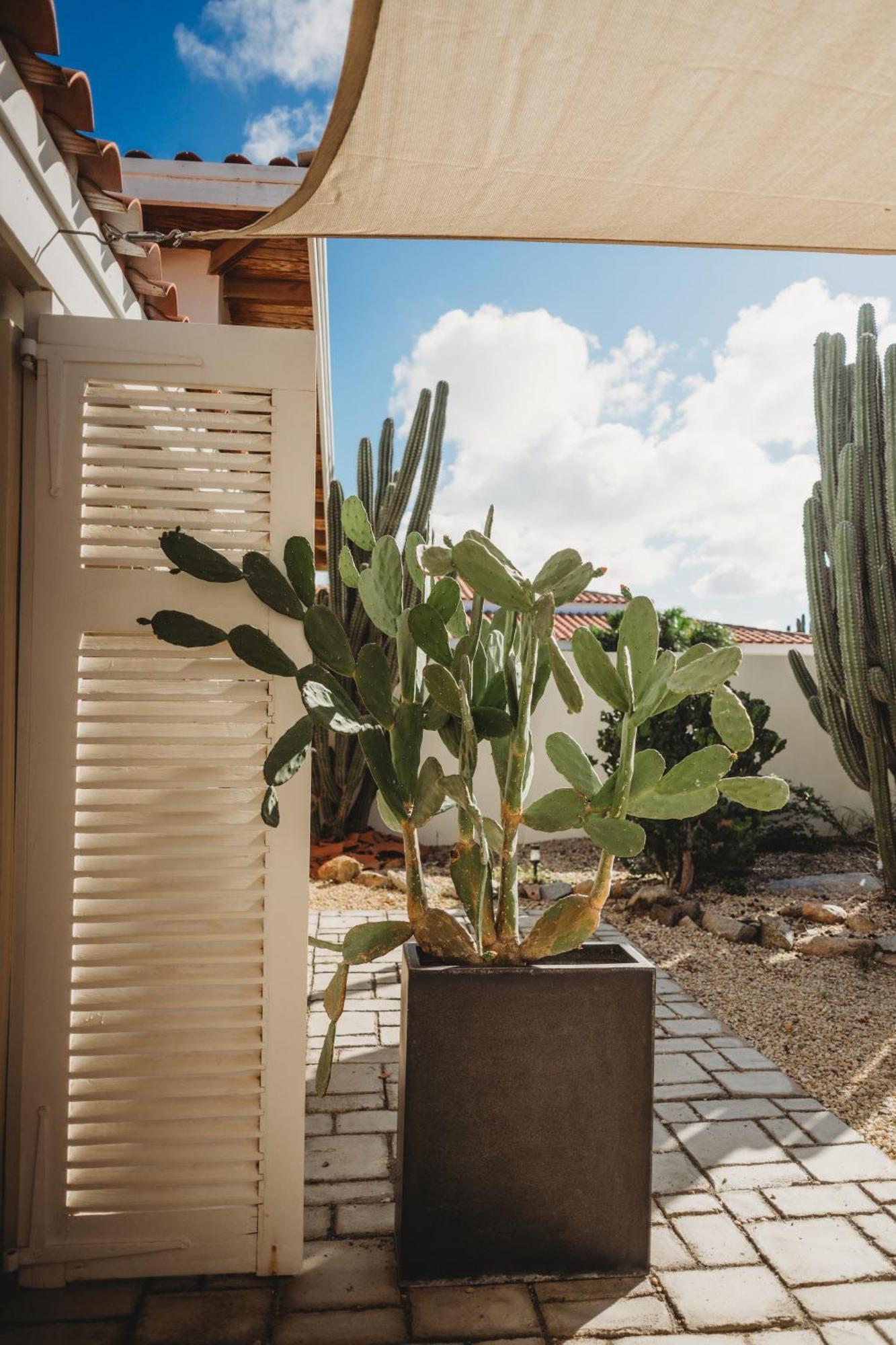 Pura Vida Aruba Appartement Palma Noord Ngoại thất bức ảnh